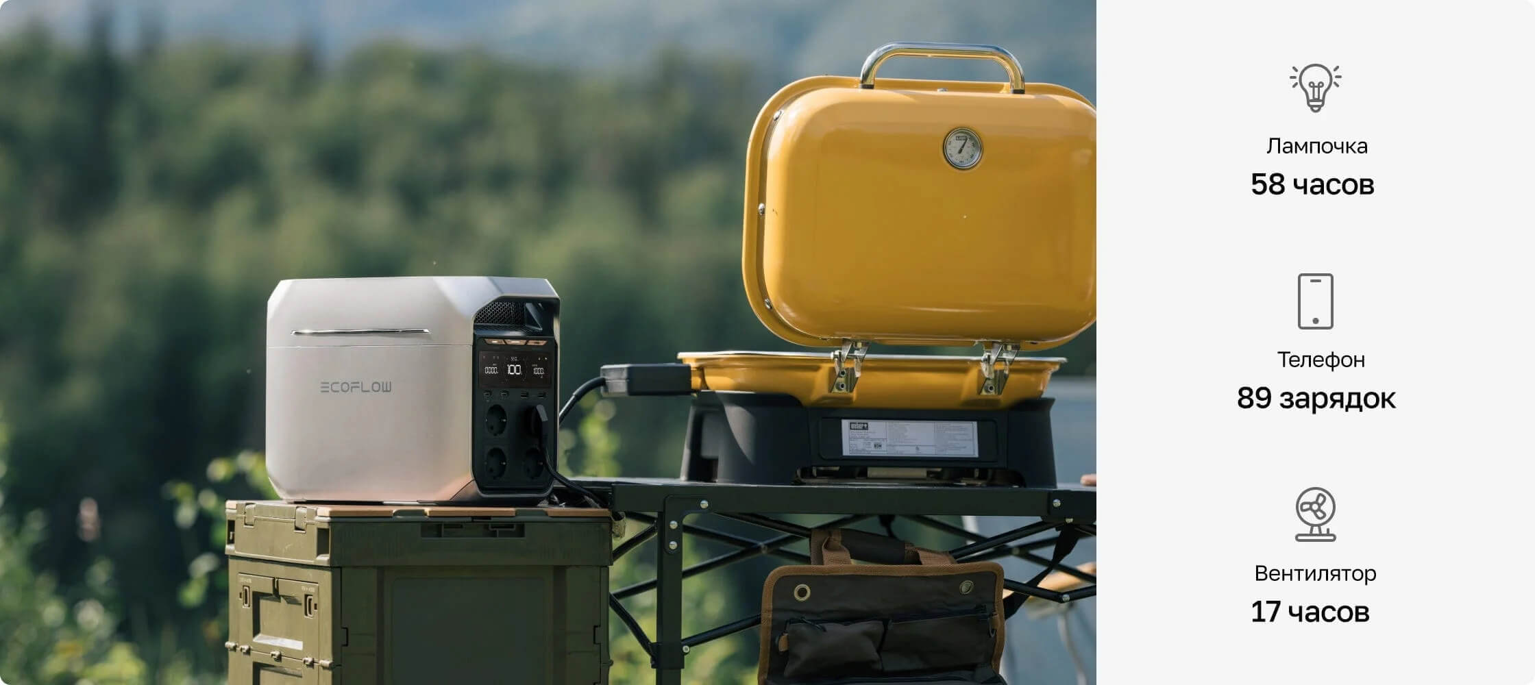 EcoFlow DELTA 3 для отдыха